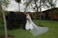 /album/fotogaleria/imagen-184-jpg/